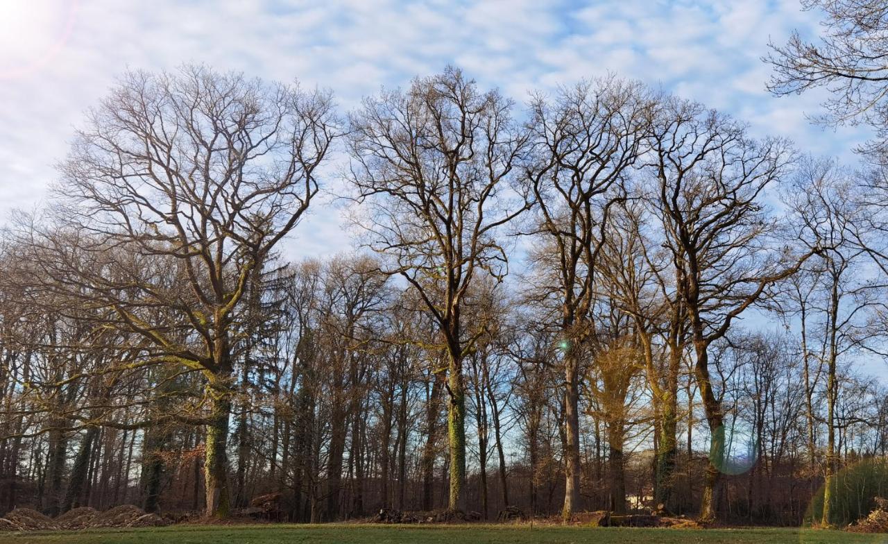 Aux Domaines D'Automne Apartment Peronnas ภายนอก รูปภาพ